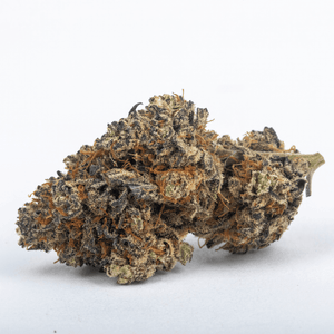 PURPLE HAZE